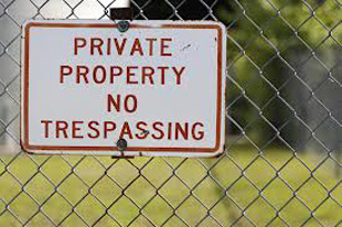 Surveyors Services Surveyors Services